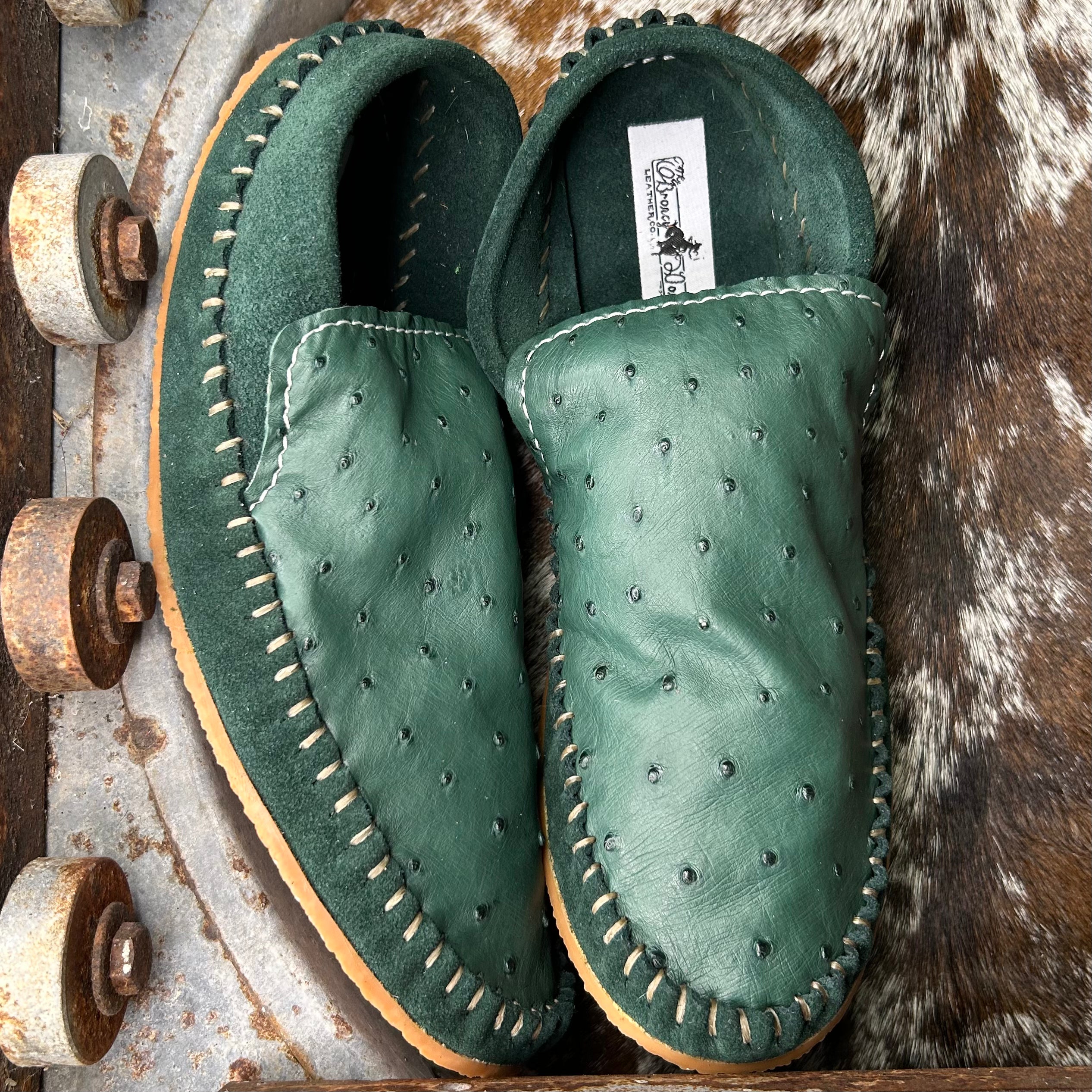 Ostrich Dayworkers (Size 8)