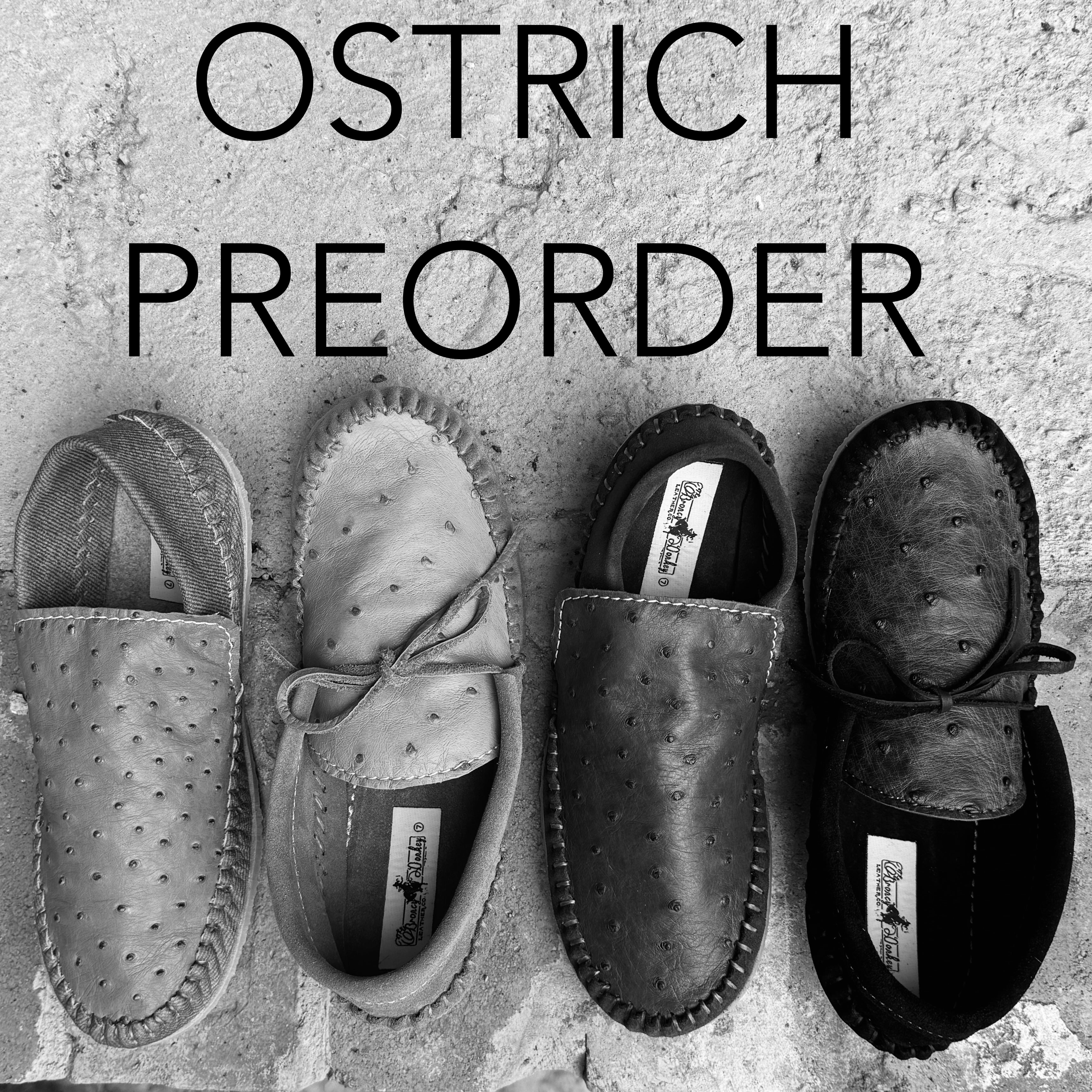 OSTRICH PREORDER (please read description!)