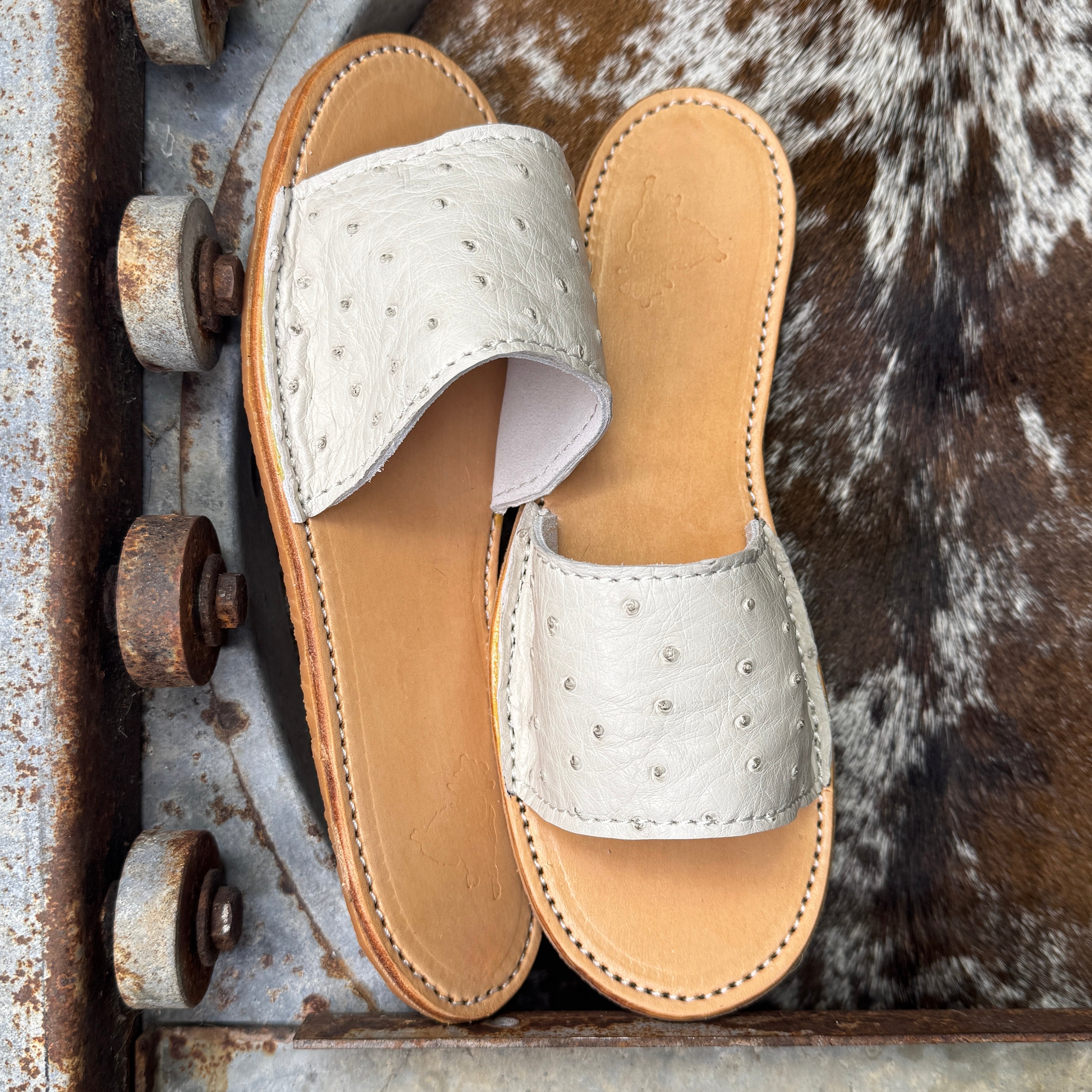Ostrich Slides (size 7)