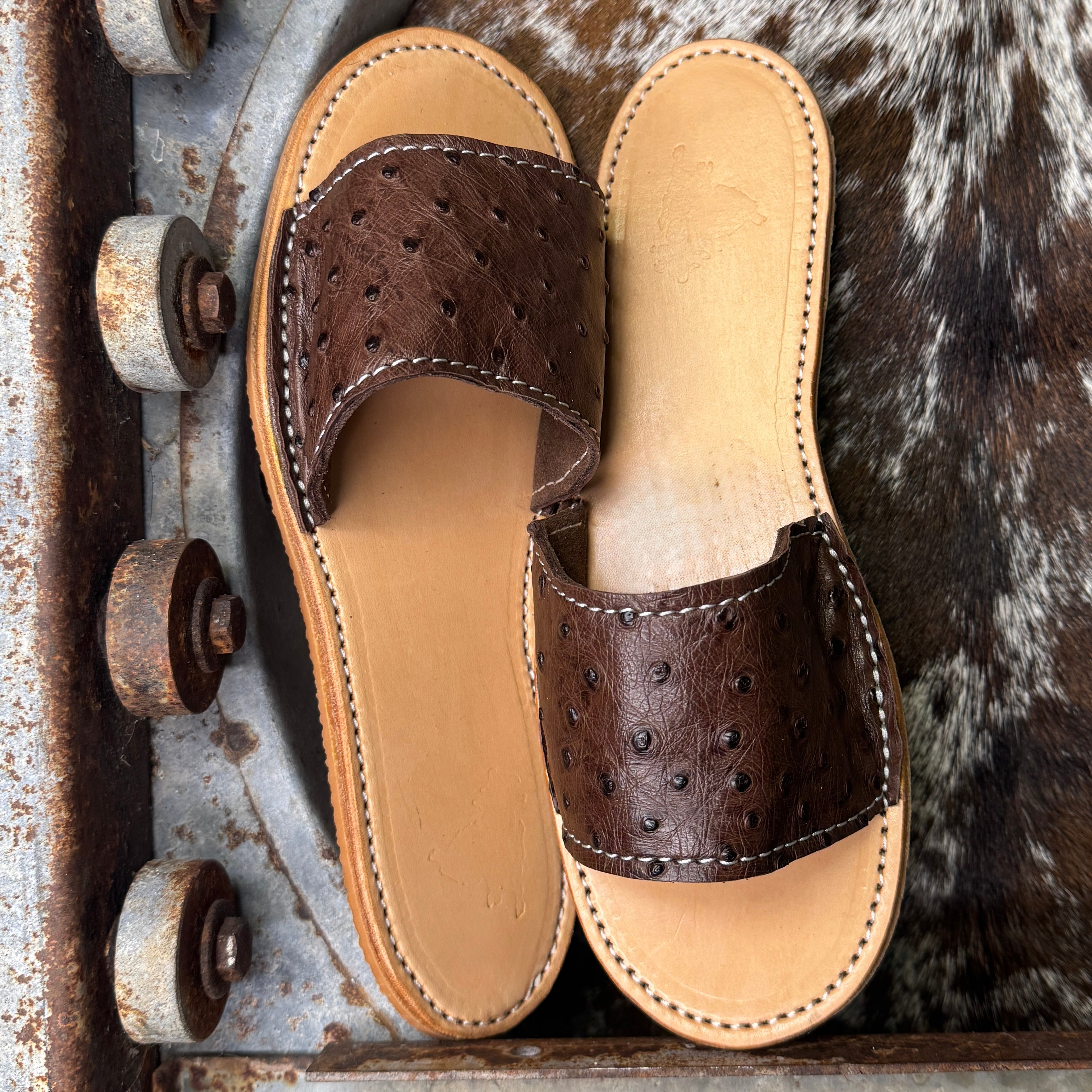 Ostrich Slides (size 7)
