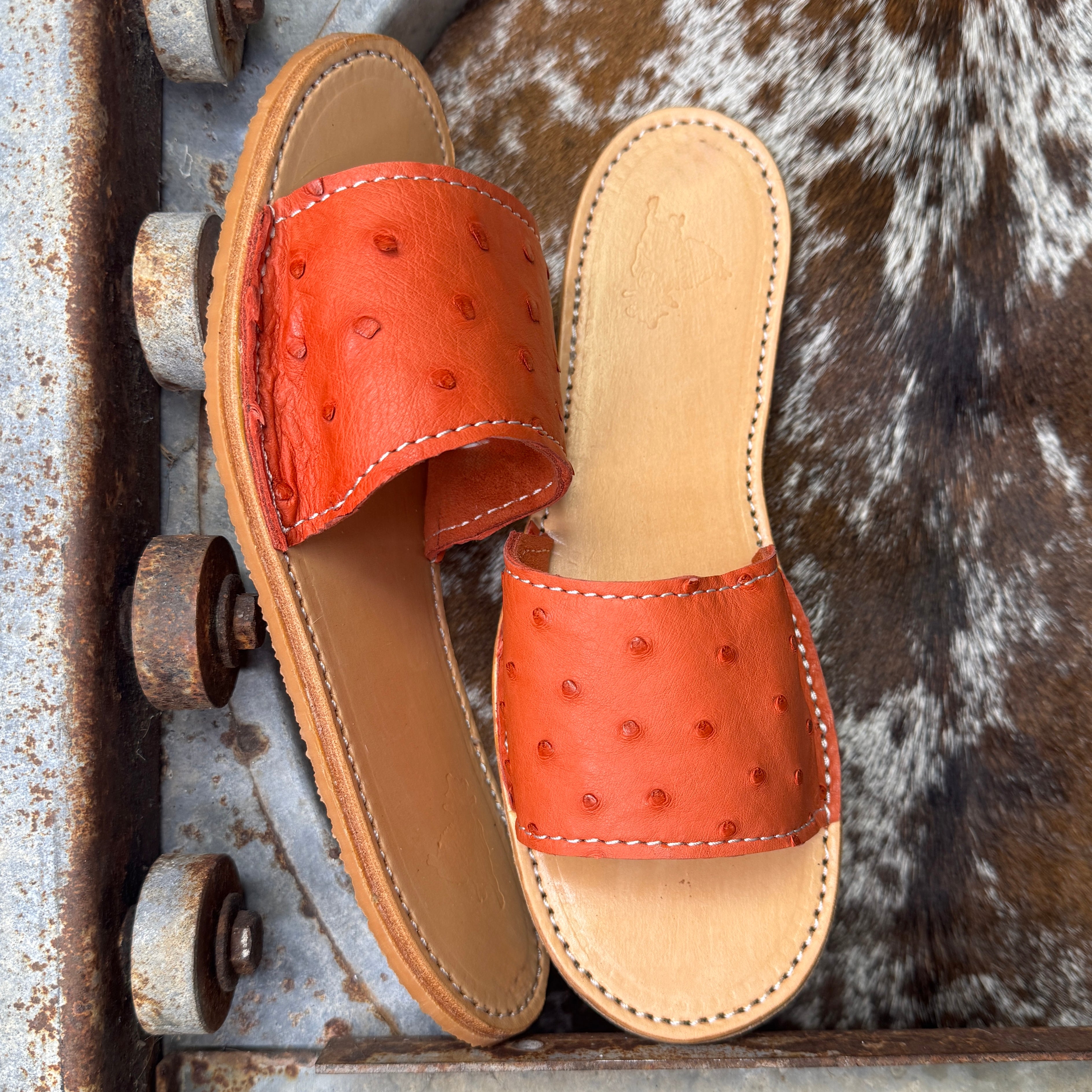 Ostrich Slides (size 8)