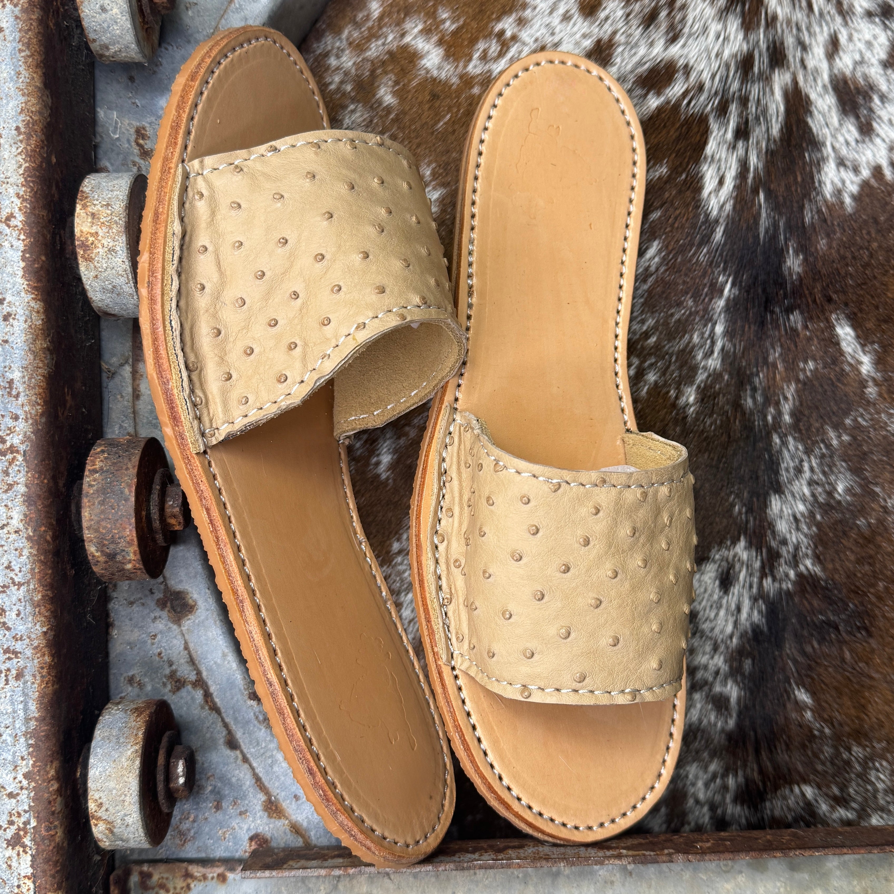 Ostrich Slides (size 7)