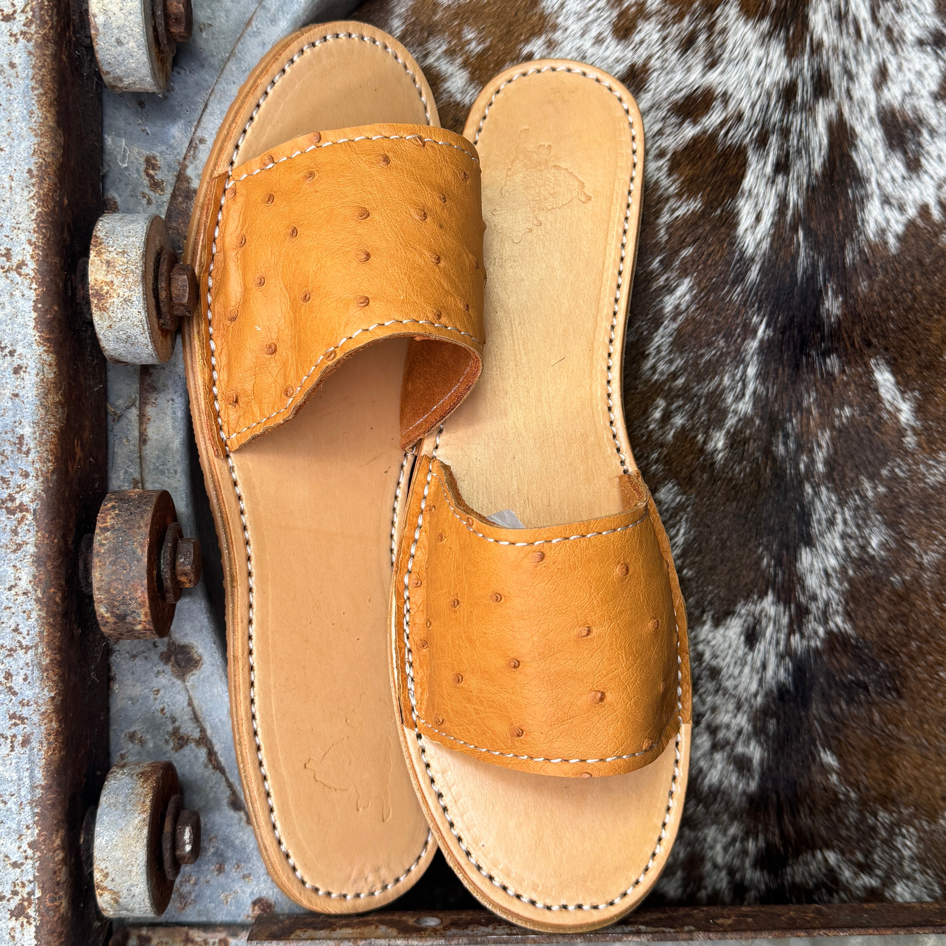Ostrich Slides (size 8)