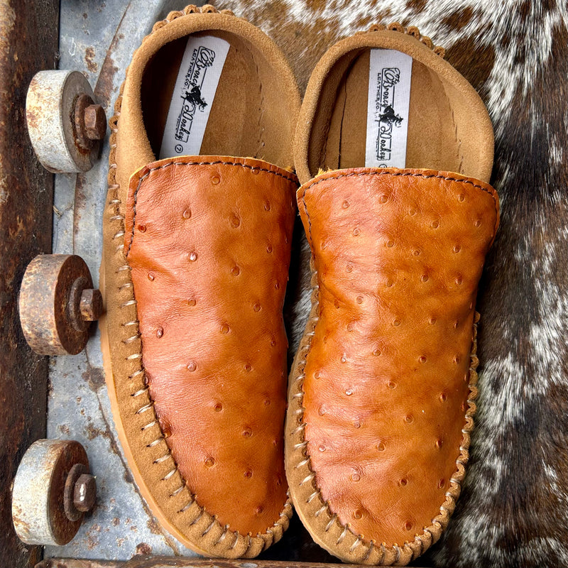 Ostrich Dayworkers (Size 9)