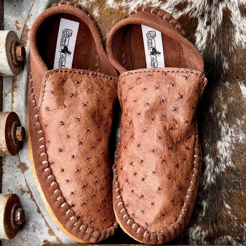 Ostrich Dayworkers (Size 7)