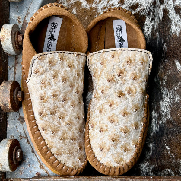 Ostrich Dayworkers (Size 10)