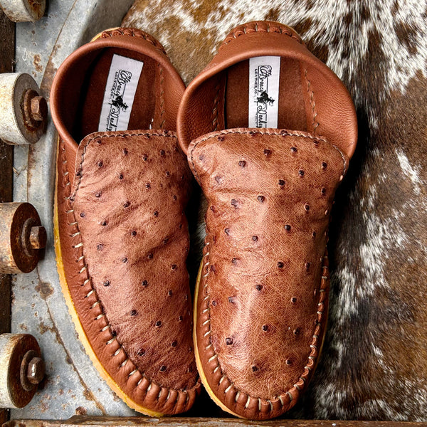 Ostrich Dayworkers (Size 9)