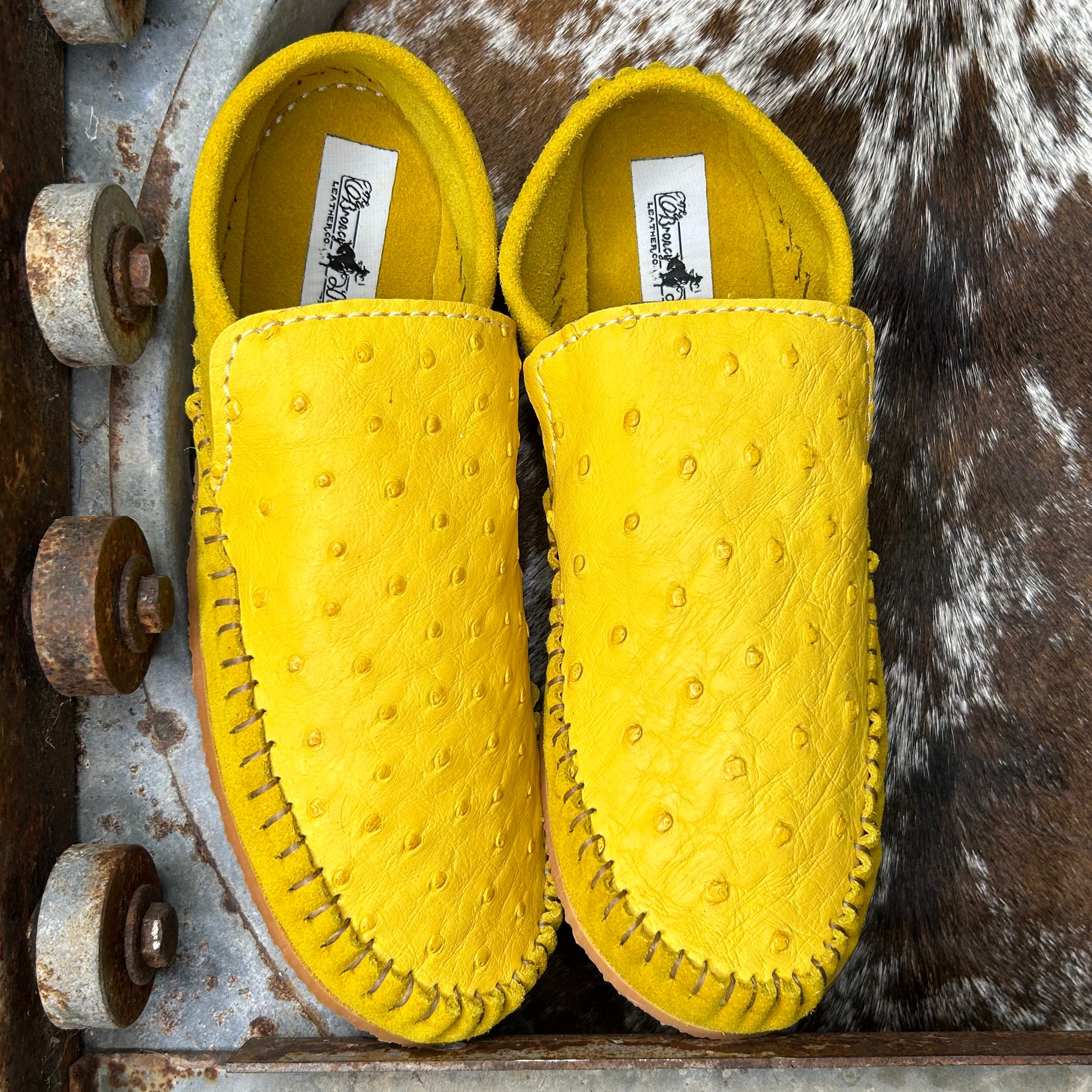 Ostrich Dayworker (size 5)