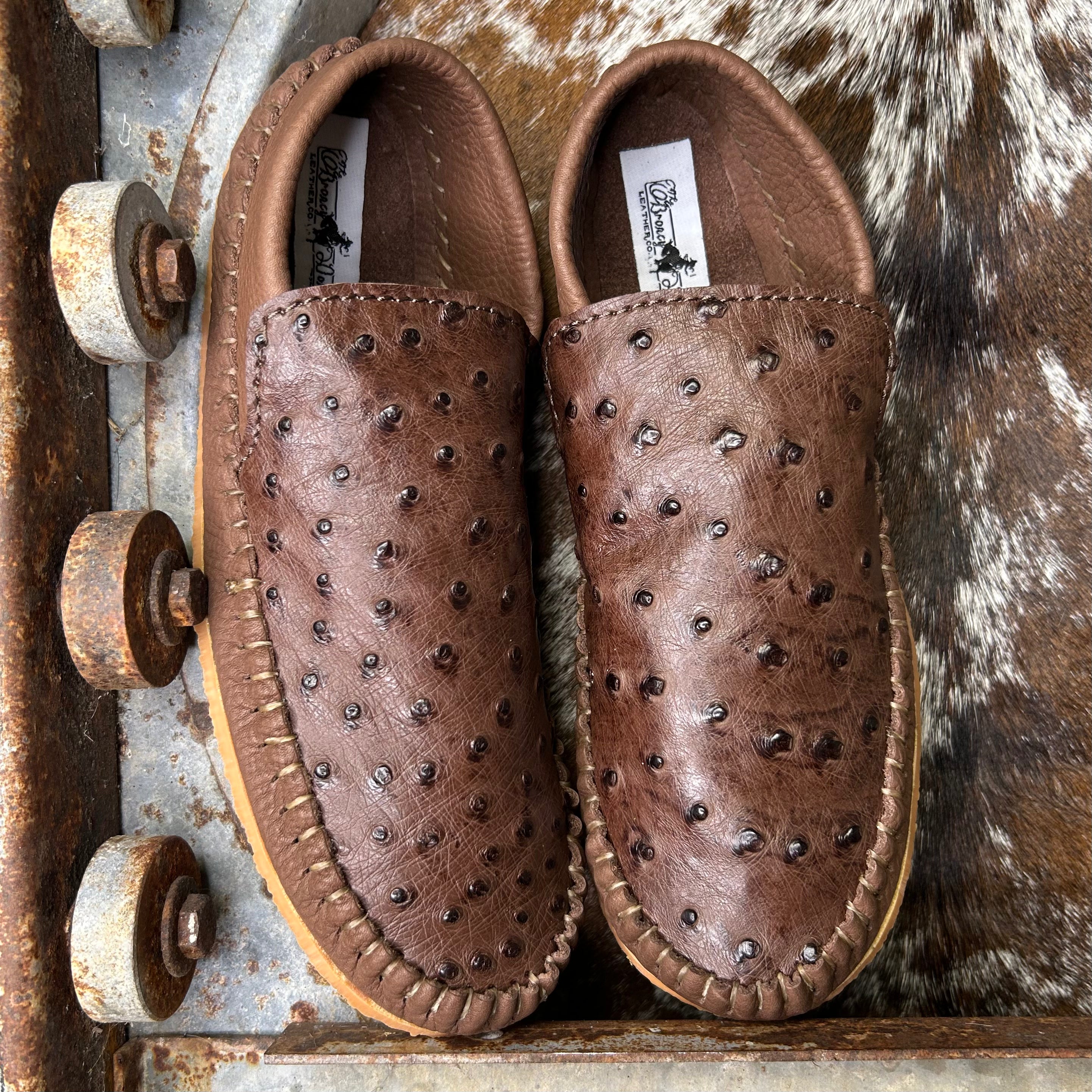 Ostrich Dayworker (size 7)