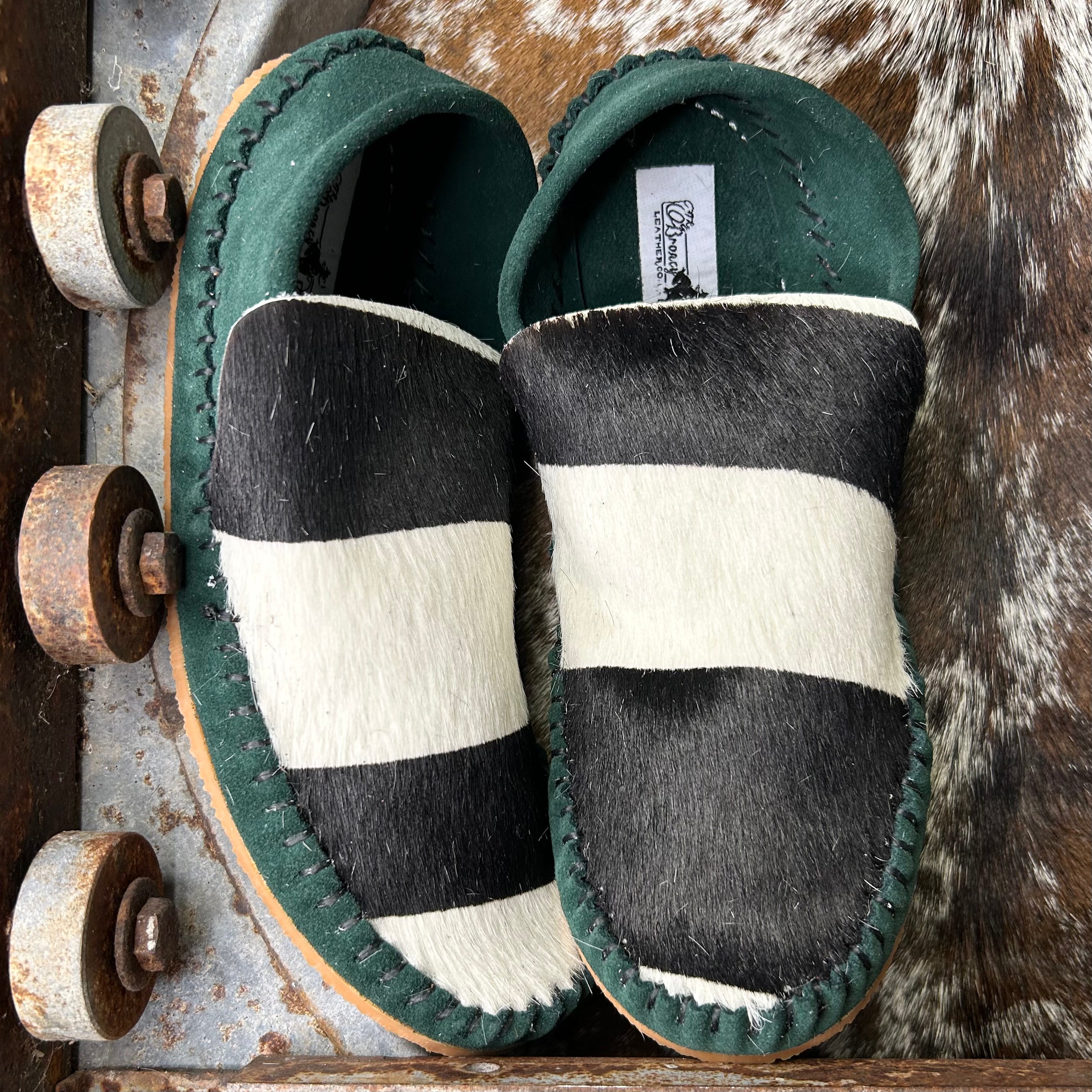 Zebra Dayworkers  (Size 6)