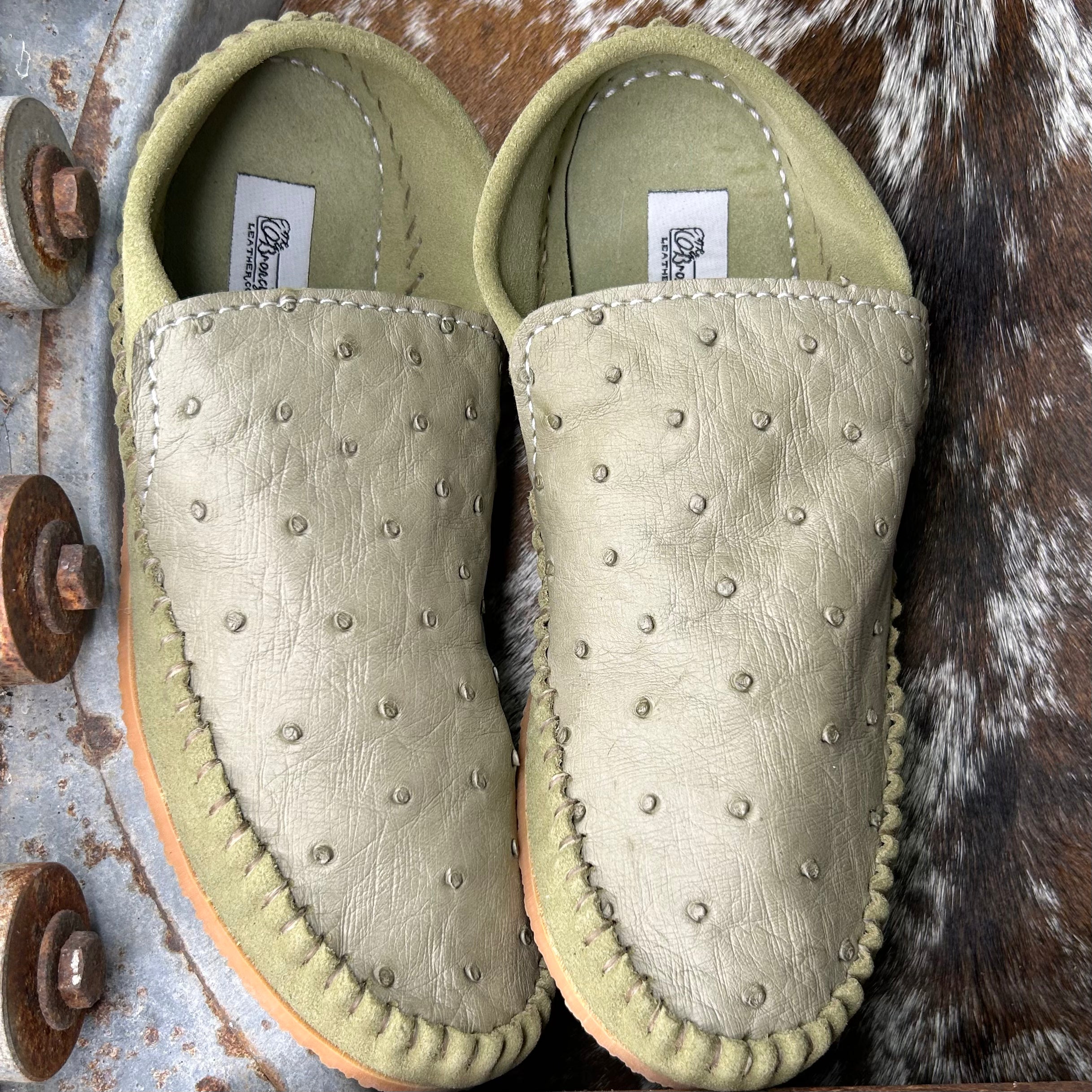 Ostrich Dayworkers (Size 6)