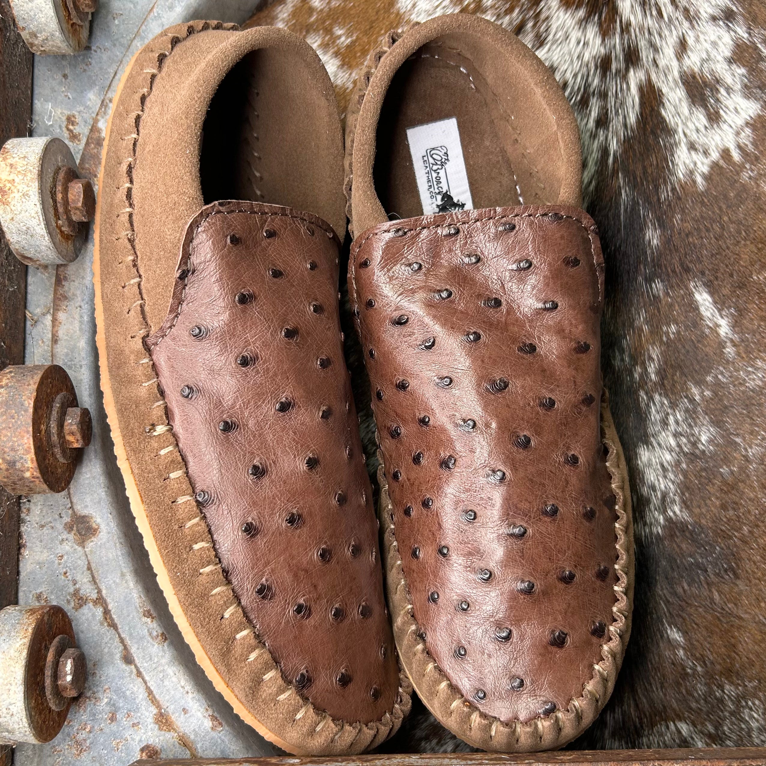 Ostrich Dayworkers (Size 9)